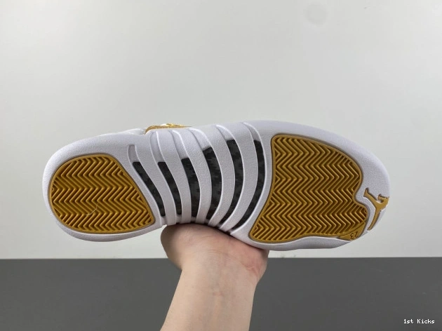 Jordan Air WMNS 12 Trendy FD9101- 654 Phantom 1227